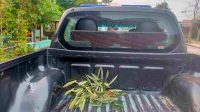 1705425358-gesekan-antarpesilat-di-madiun-kendaraan-polisi-terkena-lemparan