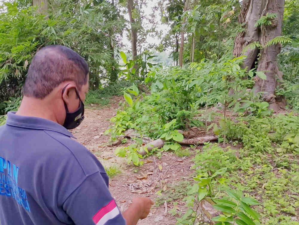 Penebangan Pohon di Sumber Mata Air Dikecam, Aktivis Minta Pihak Terkait Menindaklanjuti