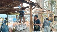 Puluhan PKL Bukit Bintang Kota Batu Mulai Bongkar Lapaknya