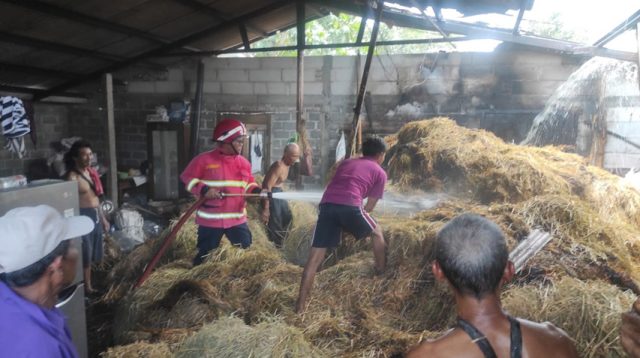Bakar Sampah, Atap Dapur dan Tumpukan Jerami Milik Warga Tulungagung Hangus Terbakar, Begini Kronologinya