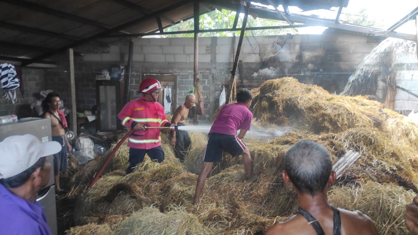 Bakar Sampah, Atap Dapur dan Tumpukan Jerami Milik Warga Tulungagung Hangus Terbakar, Begini Kronologinya