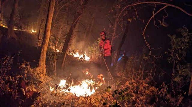 Januari - September BPBD Ponorogo Catat Ada 70 Hektare Mengalami Karhutla