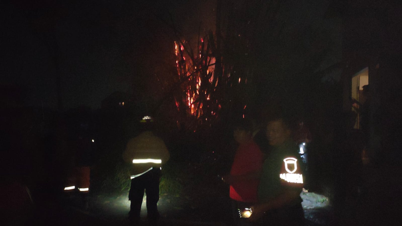 Rumpun Bambu di Kaliombo Kota Kediri Terbakar, Ternyata ini Penyebabnya