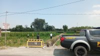 Merumput di Sawah, Warga Badas Kediri Temukan Mayat 