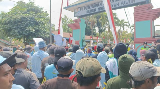 Ratusan Petani Datangi Kantor PTPN Ngrangkah Sepawon, Tuntut Fasilitas Pembangunan Kebun Masyarakat
