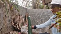 Korban Penganiayaan Guru, MKK Diasuh Nenek Sejak Ibu Kerja di Taiwan, Ingin Mondok dari Kecil