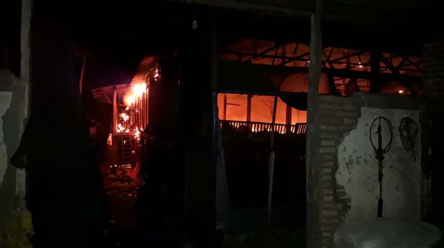 Kebakaran Kandang di Blitar, 17 Ribu Ayam Terpanggang, Rugi Rp 1,1 Miliar