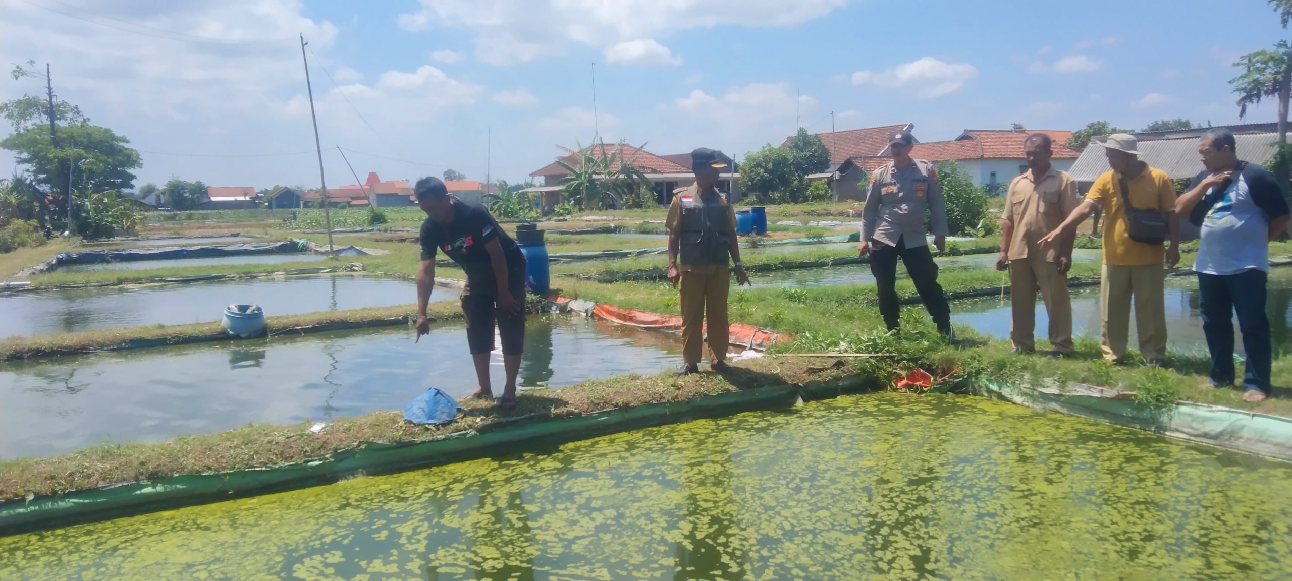 Lelaki Tulungagung Tenggelam di Kolam Ikan Patin