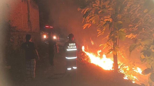 Kebakaran, Hektare, Lahan Jati, Tulungagung, Diselidiki