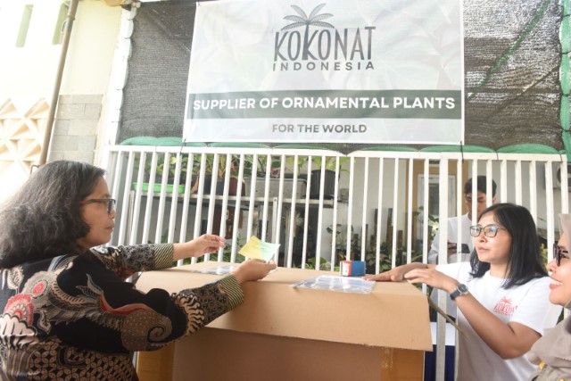 ekspor tanaman hias kota kediri