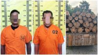 Dua Pria di Tulungagung Diringkus Polisi, Diduga Terlibat Pencurian Kayu Jati