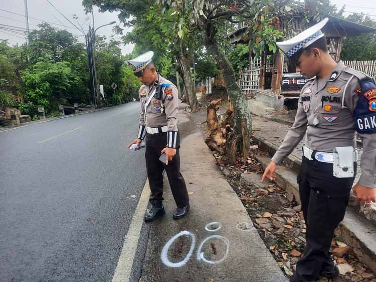 Dua Sepeda Motor Tabrakan Frontal, Begini KronologinyaDua Sepeda Motor Tabrakan Frontal, Begini Kronologinya