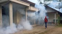 Waspada ! DBD di Trenggalek Melonjak Tajam Naik Lebih dari 600 Kasus