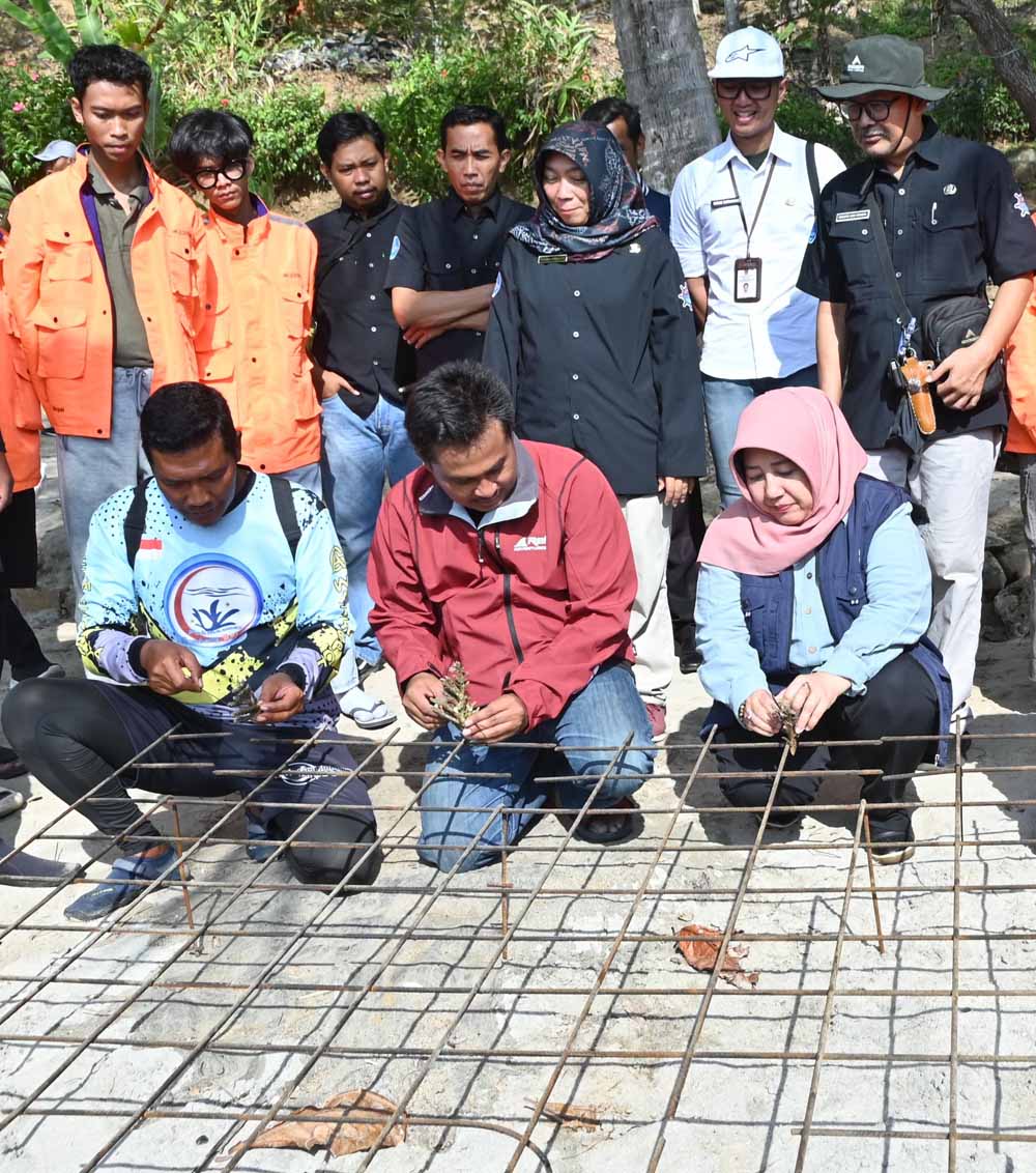 Lestarikan Ekosistem Laut, Pj Bupati Trenggalek Tanam Ribuan Fragmen Karang di Pantai Mutiara