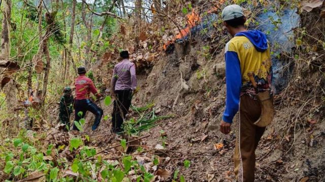 Lahan Hutan Gunung Tumpak Trenggalek Seluas 2,25 Hektare Terbakar, Kerugian Capai Rp 30 Juta