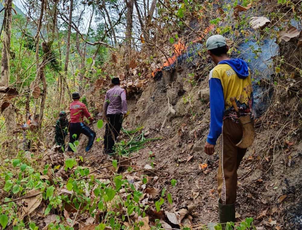 Lahan Hutan Gunung Tumpak Trenggalek Seluas 2,25 Hektare Terbakar, Kerugian Capai Rp 30 Juta