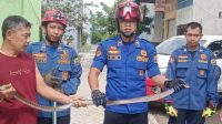 Lagi, Ular Sepanjang 2 Meter Masuk ke Toko Warga Kelurahan Sumbergedong Trenggalek