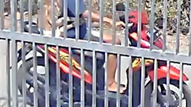Curi Anak Kambing Untuk Beli Rokok, Anak Bawah Umur Asal Ponorogo Berurusan dengan Polisi
