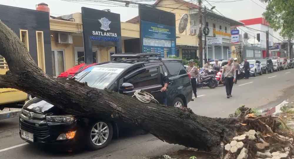 Pohon Tumbang di Depan Mapolres Ponorogo, Satu Mobil Inova Ringsek