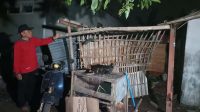 Angin Puting Beliung di Empat Dusun Kayen Kidul, Puluhan Rumah Ditambah Satu Musala Rusak
