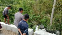 Sopir-kernet Luka-luka usai Jatuh ke Jurang 5 Meter di Blitar