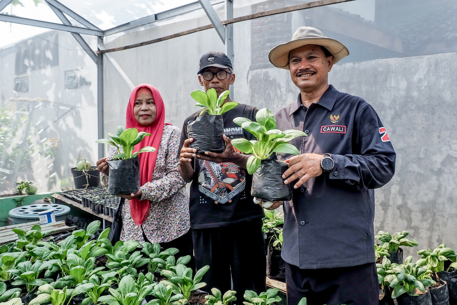 Perhatikan Ketahanan Pangan, Cawali Maidi Berencana Kembangkan P2L