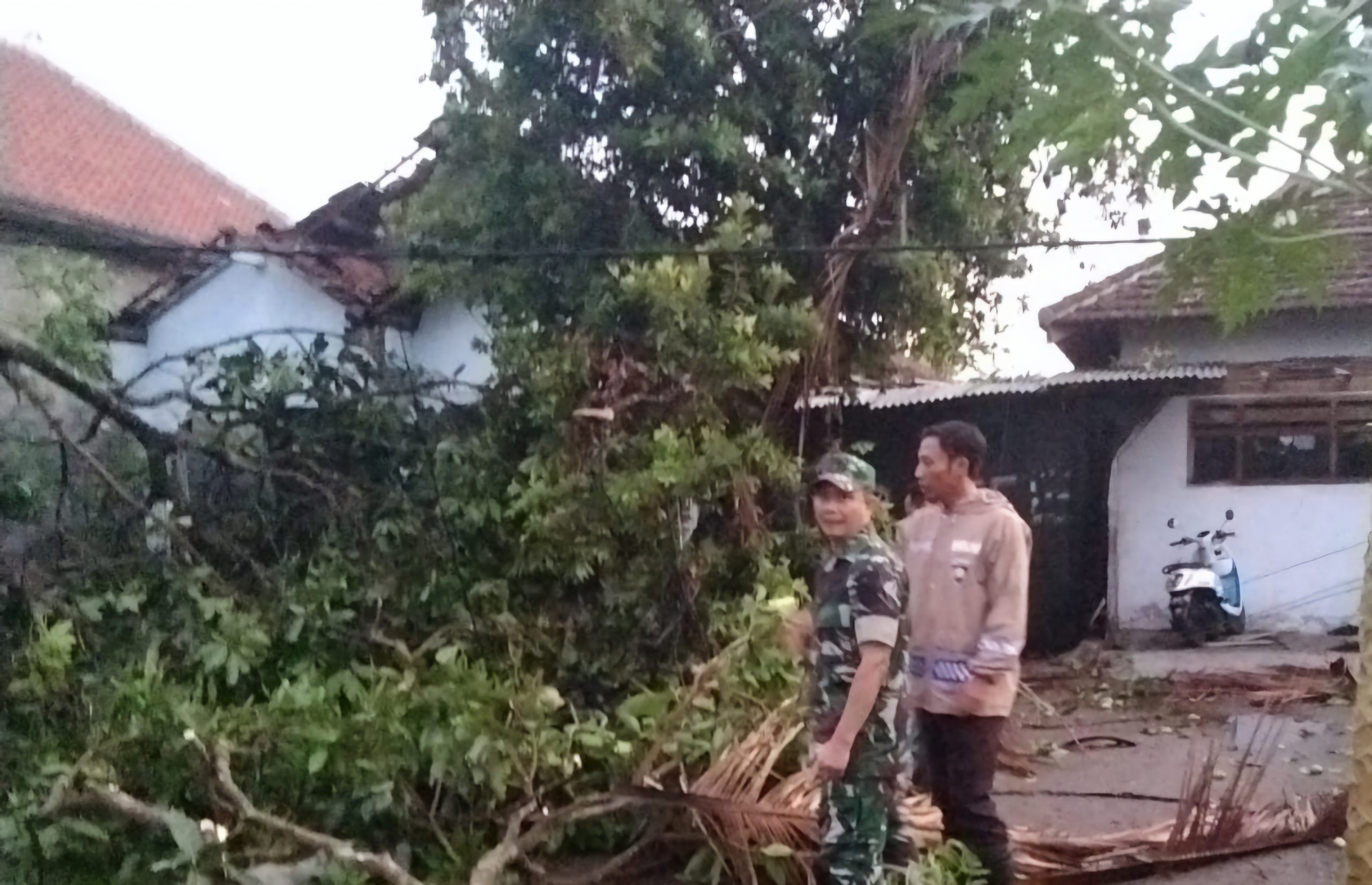 Puting Beliung Rusak 24 Rumah Warga Trenggalek, Tak Ada Korban Jiwa