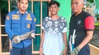 Macan Rembah Satroni Dapur Rumah Warga Trenggalek untuk Cari Makan, Begini Ceritanya