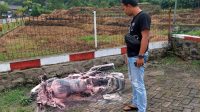 Panik ! Saat Motor Tiba-tiba Terbakar di SPBU Trenggalek, Begini Kronologinya