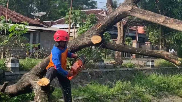 Cuaca Ekstrem Berpotensi Muncul Hingga Akhir Pekan, Ini Kata Kepala BPBD Kabupaten Trenggalek
