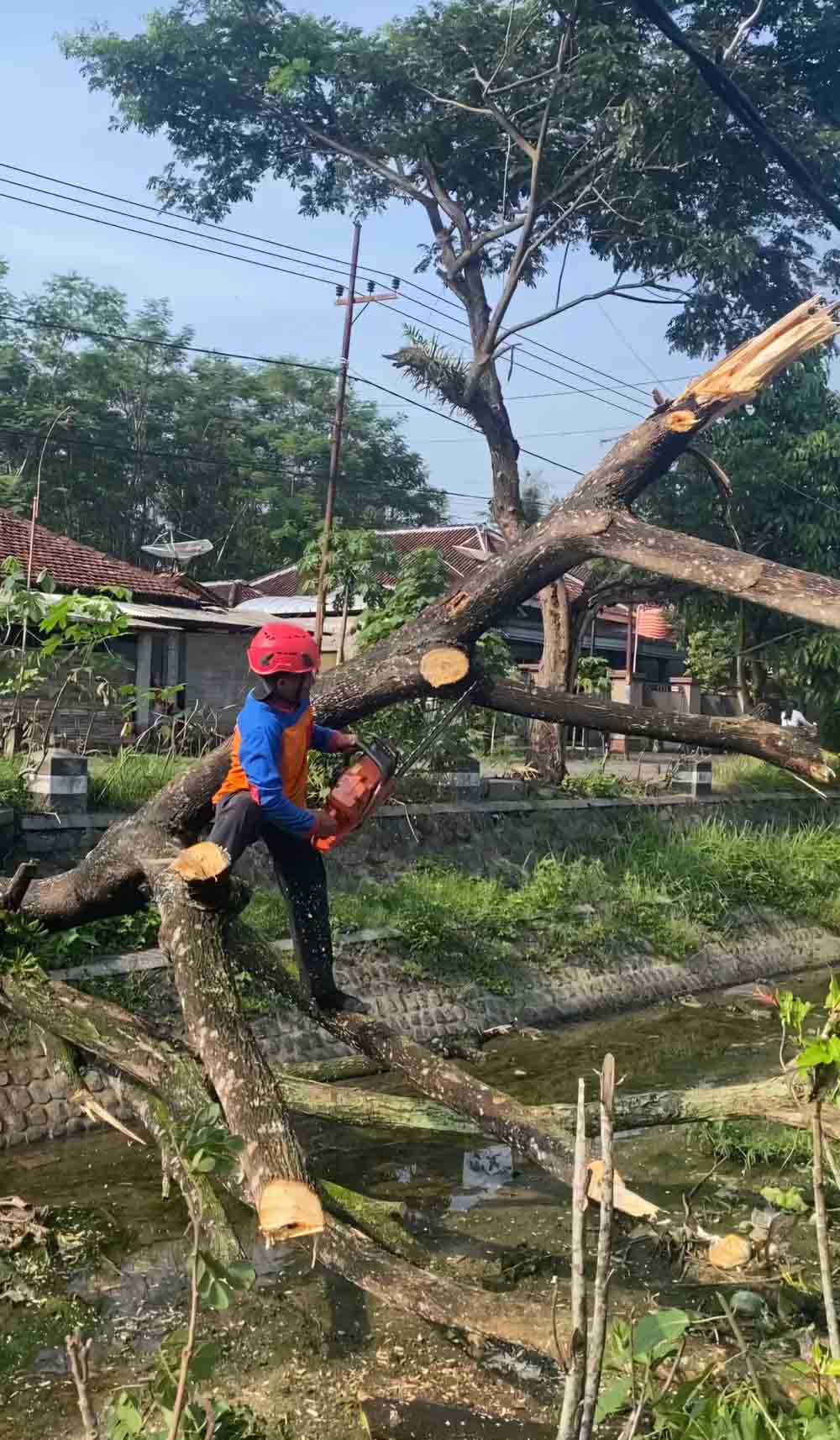 Cuaca Ekstrem Berpotensi Muncul Hingga Akhir Pekan, Ini Kata Kepala BPBD Kabupaten Trenggalek