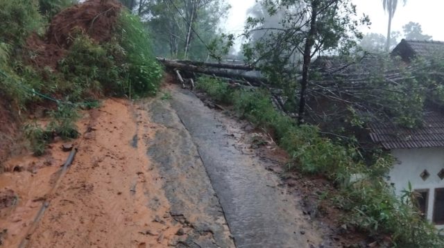 Pohon Tumbang, Tanah Longsor Rusak Rumah hingga Lumpuhkan Akses di Trenggalek, ini Rinciannya