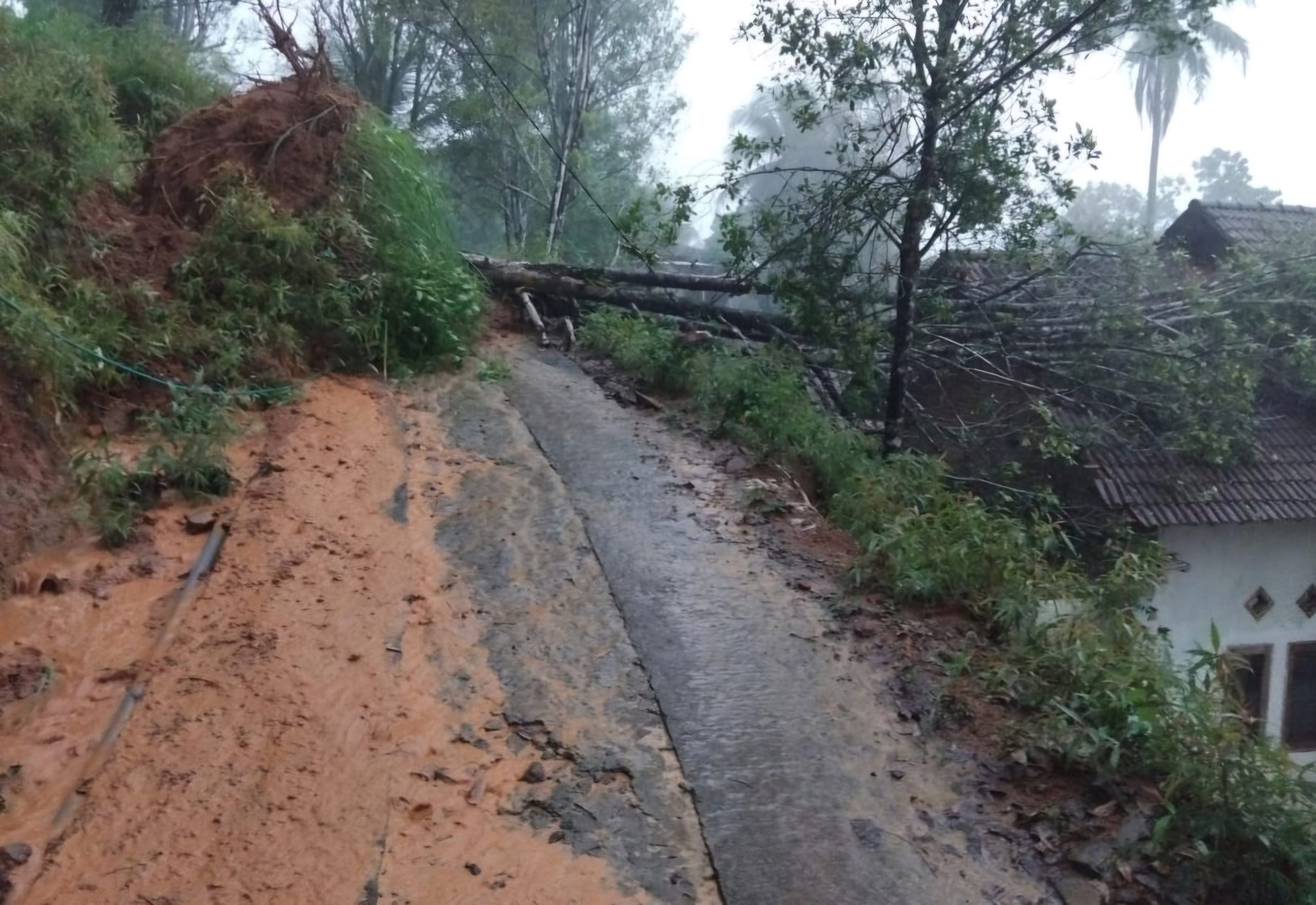 Pohon Tumbang, Tanah Longsor Rusak Rumah hingga Lumpuhkan Akses di Trenggalek, ini Rinciannya