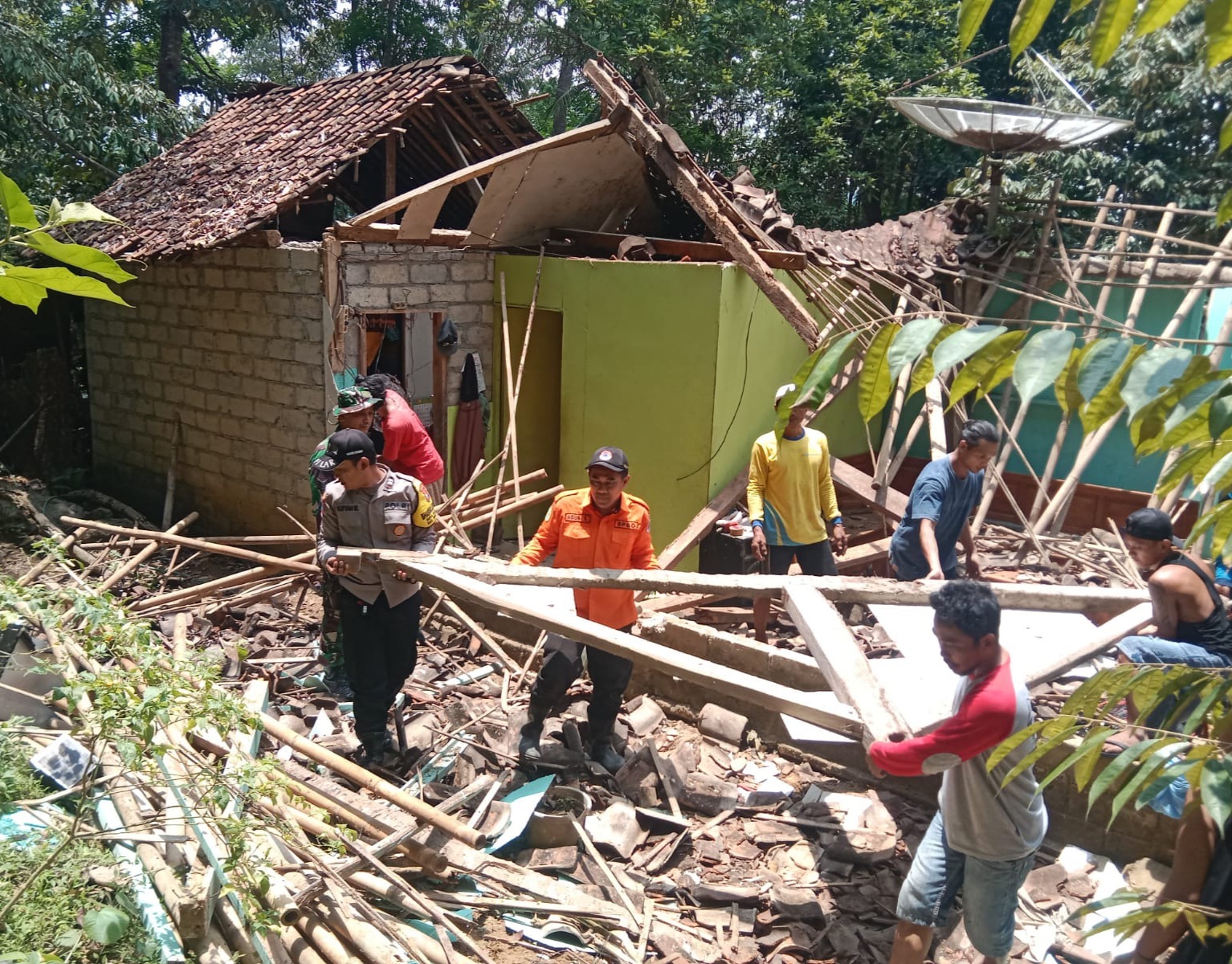 Enam Rumah Tertimpa Pohon Tumbang, Satu Warga Luka-luka, Ini Penjelasan BPBD Kabupaten Trenggalek