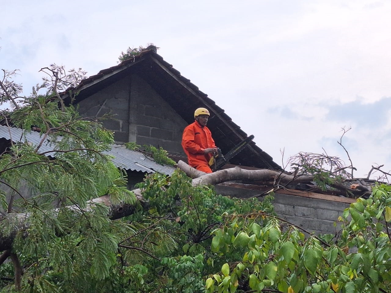Angin Puting Beliung Sebabkan 95 Rumah Rusak, BPBD Kabupaten Tulungagung Kirimkan Bantuan 3.869 Genteng dan Asbes