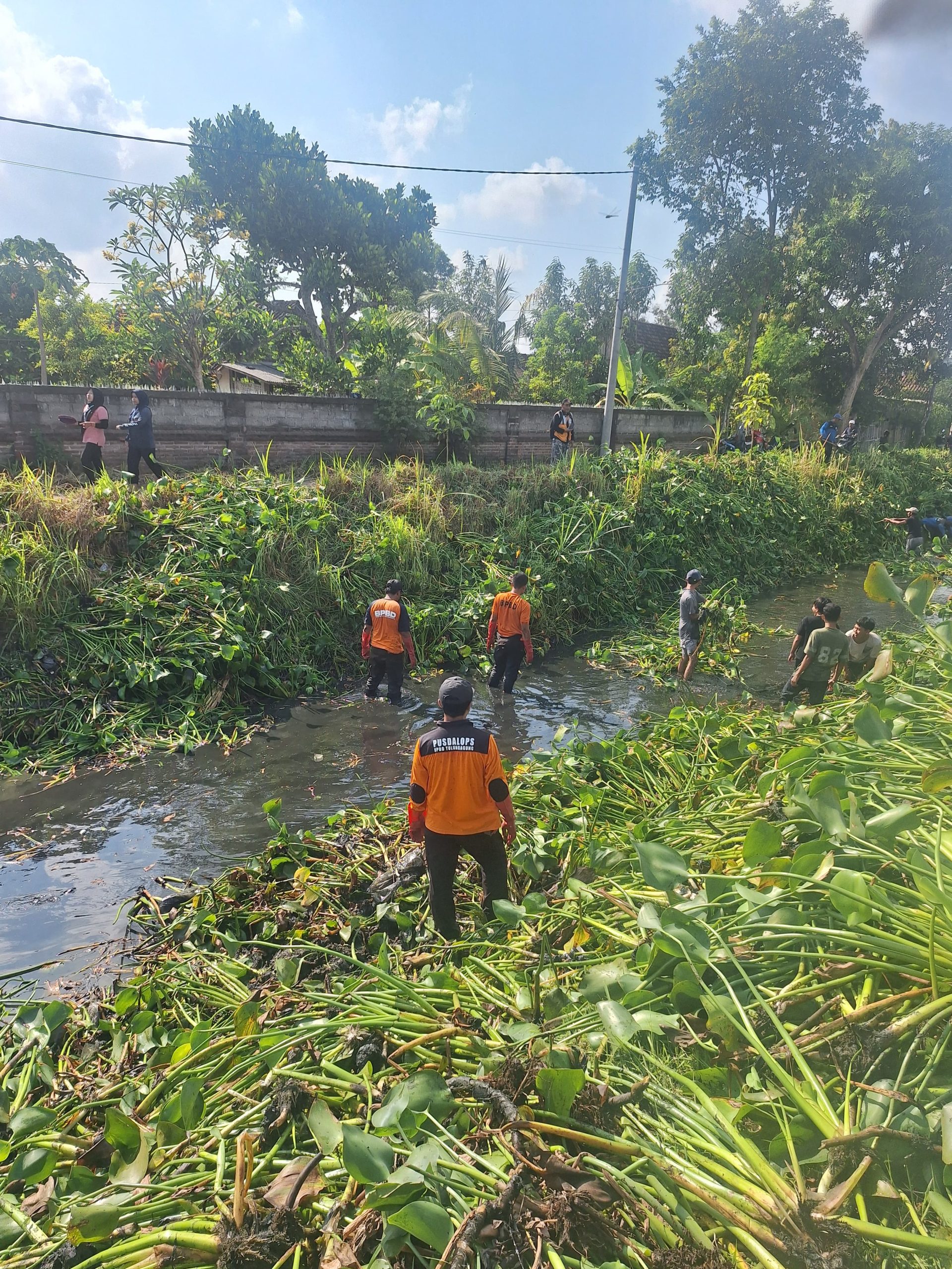 Antisipasi Banjir, BPBD Kabupaten Tulungagung Bersihkan Sungai 