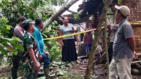 Puting Beliung Merobohkan Pohon dan Merusak Tiga Rumah, Ini Kerugiannya