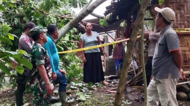 Puting Beliung Merobohkan Pohon dan Merusak Tiga Rumah, Ini Kerugiannya