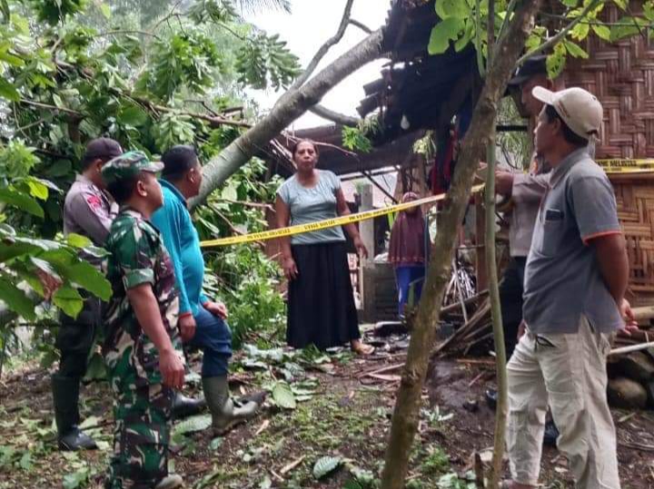 Puting Beliung Merobohkan Pohon dan Merusak Tiga Rumah, Ini Kerugiannya
