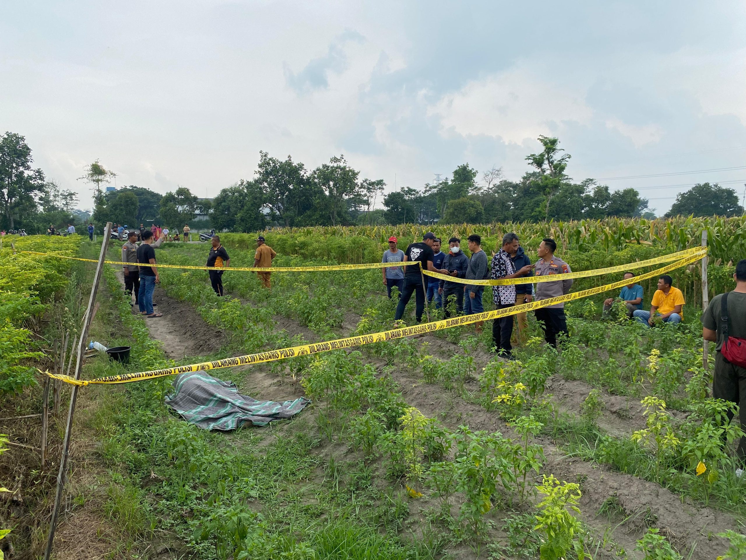 Petani Ditemukan Tewas di Lahan Cabai, Diduga Ini Penyebabnya