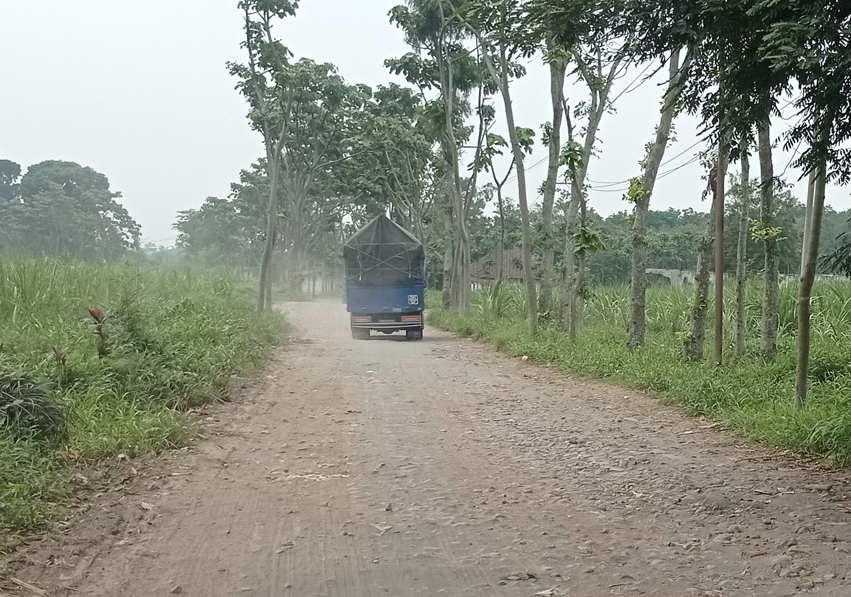 Tiga Tahun Jalan Desa Sepawon Rusak Parah, Belum Ada Perbaikan