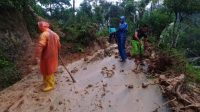 Longsor Kembali Landa Trenggalek, Rusak Rumah hingga Putus Akses Jalan Antardesa
