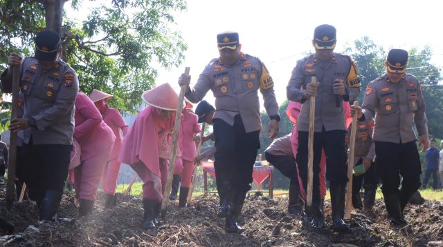 Dukung Program ASTA CITA Presiden Prabowo, Kapolres Madiun Bersama Anggotanya Lakukan Aksi Penanaman Jagung