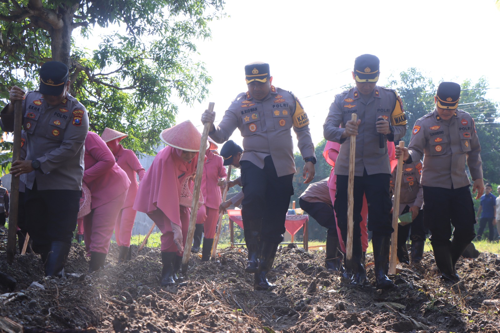 Dukung Program ASTA CITA Presiden Prabowo, Kapolres Madiun Bersama Anggotanya Lakukan Aksi Penanaman Jagung