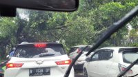Dua Mobil Ringsek Tertimpa Pohon Tumbang di Kota Malang