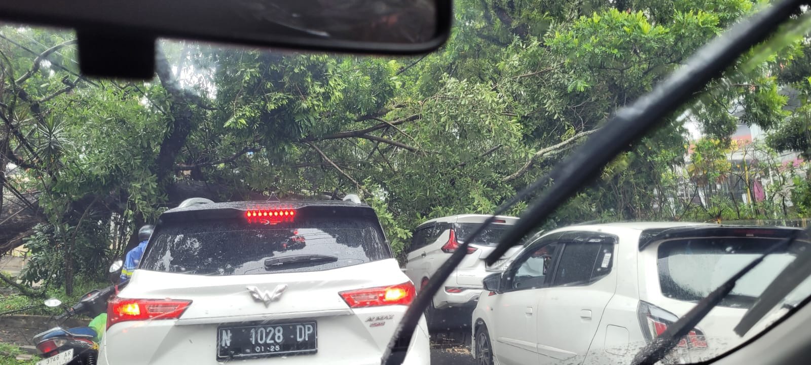 Dua Mobil Ringsek Tertimpa Pohon Tumbang di Kota Malang