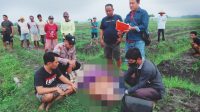 Pengebas Bawang Merah di Nganjuk Ditemukan Tak Bernyawa di Area Persawahan, ini Penyebabnya