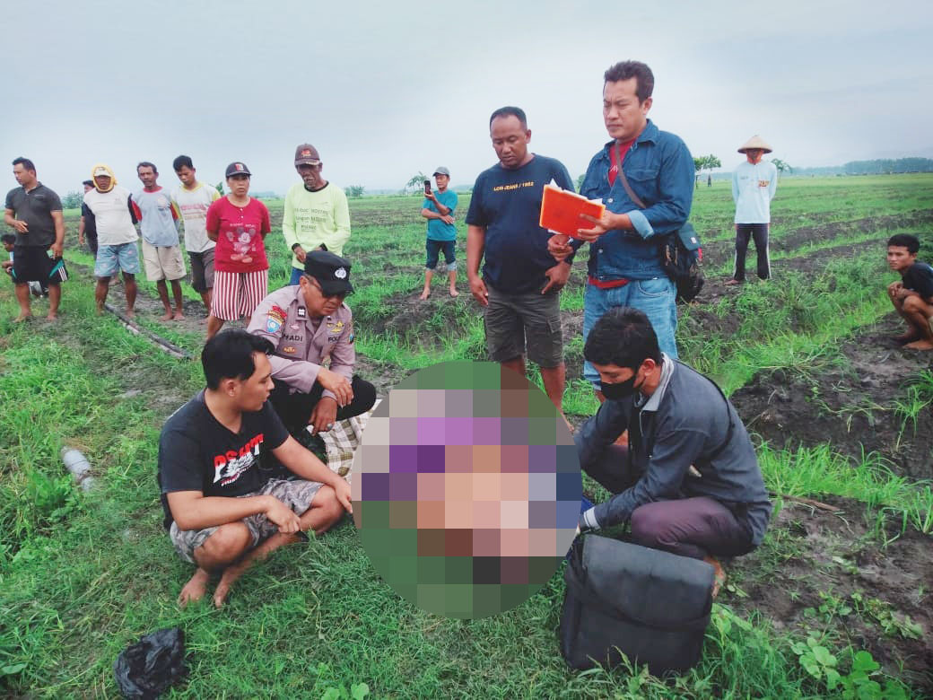 Pengebas Bawang Merah di Nganjuk Ditemukan Tak Bernyawa di Area Persawahan, ini Penyebabnya