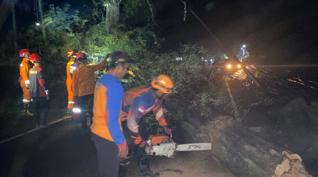 Sudah Ada Empat Korban Tertimpa Pohon di Jalan Nasional Trenggalek - Ponorogo, Ini Atensi Mas Ipin Bupati Trenggalek