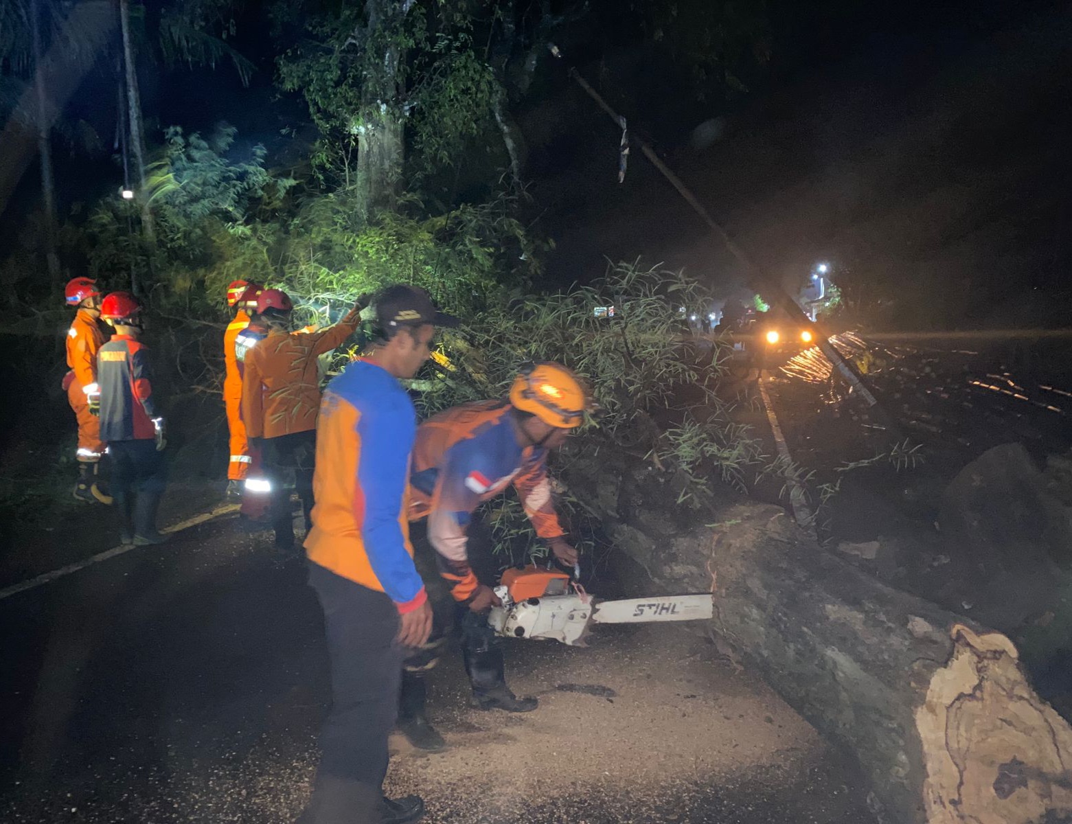 Sudah Ada Empat Korban Tertimpa Pohon di Jalan Nasional Trenggalek - Ponorogo, Ini Atensi Mas Ipin Bupati Trenggalek